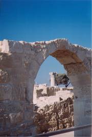 Paphos ruins