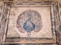 Paphos mosaic